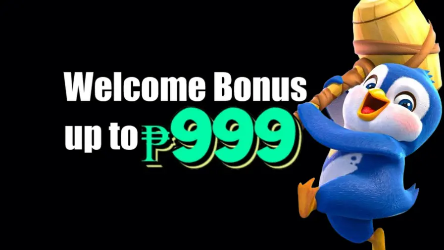 DD555